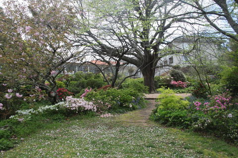 Nesuto Leura Gardens (formerly Waldorf Leura Gardens Resort) - Redcliffe Tourism 4