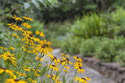 Nesuto Leura Gardens (formerly Waldorf Leura Gardens Resort) - Redcliffe Tourism 16