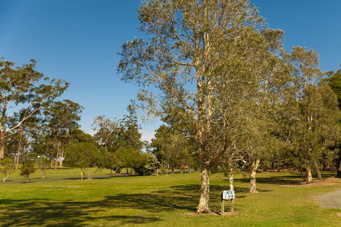 Kempsey Rose Motor Inn - Redcliffe Tourism 32