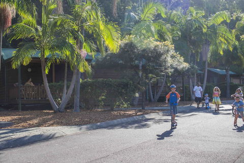 The Palms At Avoca - Redcliffe Tourism 14