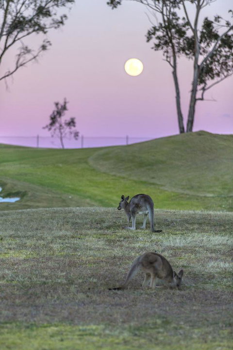 Oaks Cypress Lakes Resort - Redcliffe Tourism 28