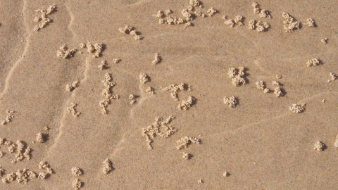 Bundle Hill Cottages - Redcliffe Tourism 4