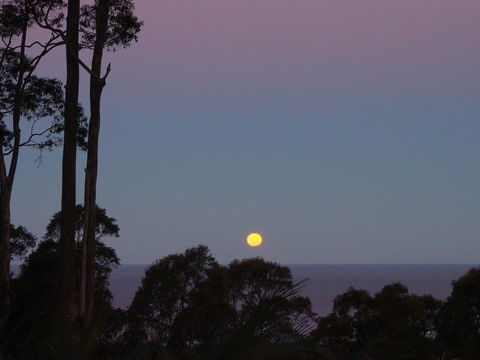 Bundle Hill Cottages - Redcliffe Tourism 36