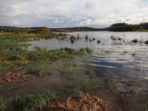 Bundle Hill Cottages - Redcliffe Tourism 31