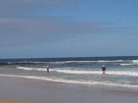 Bundle Hill Cottages - Redcliffe Tourism 10