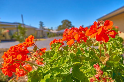 Hunter Oasis - Redcliffe Tourism 42