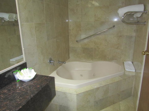 Best Western Plus Goulburn - Redcliffe Tourism 29