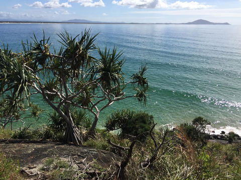 Hat Head Beach Cottage 1 - Redcliffe Tourism 23