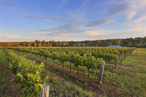 Ironstone Estate Lovedale - Redcliffe Tourism 31