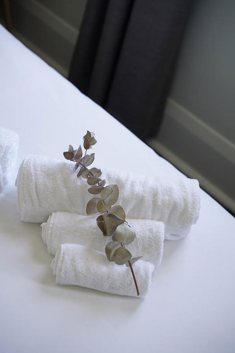 Rosehill Hotel - Redcliffe Tourism 29