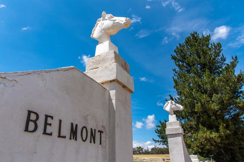 Belmont - Redcliffe Tourism 4