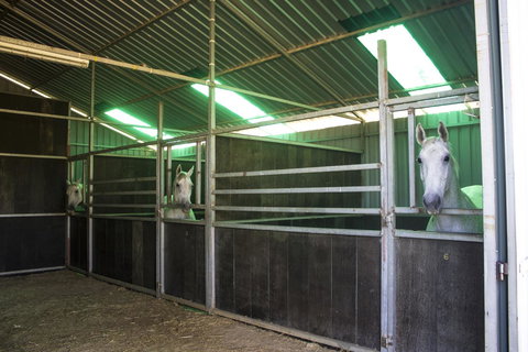 Allonville Gardens Motel - Redcliffe Tourism 33