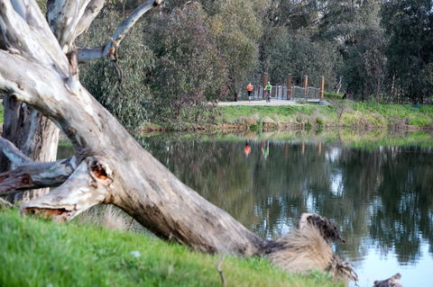 Mercure Albury - Redcliffe Tourism 15