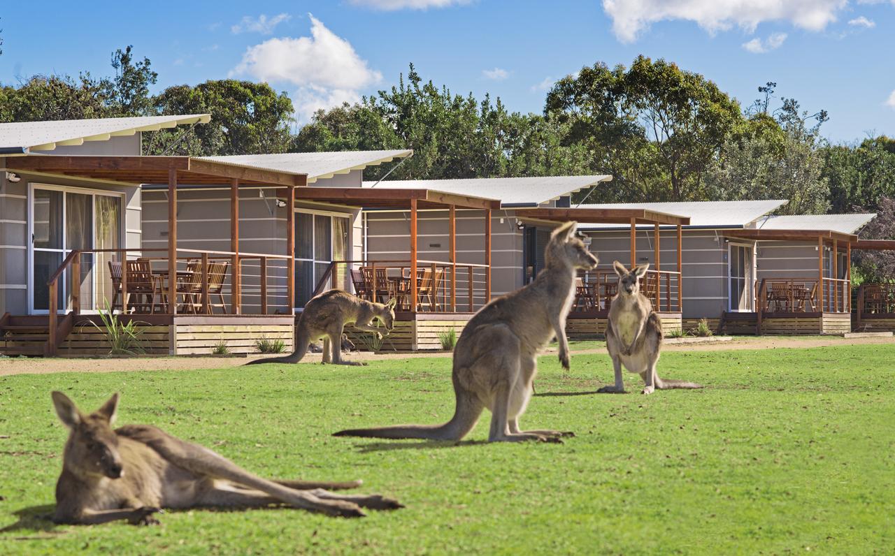  Redcliffe Tourism