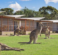 Discovery Parks  Pambula Beach - Redcliffe Tourism