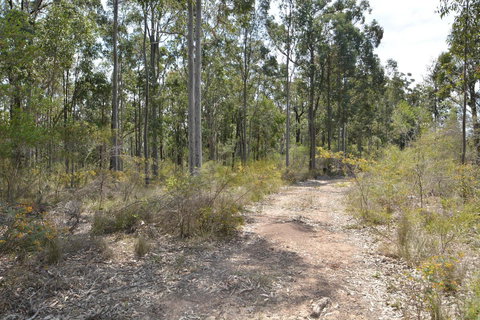 JE Guesthouse, Central To All The Hunter Valley Has To Offer - Redcliffe Tourism 44