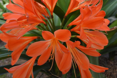 JE Guesthouse, Central To All The Hunter Valley Has To Offer - Redcliffe Tourism 39