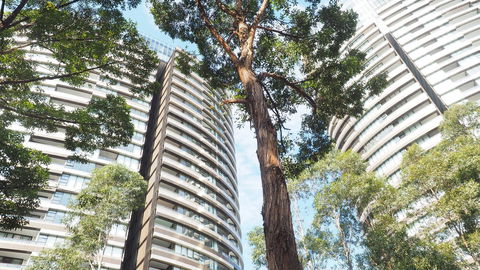 SkyGarden Sydney Olympic Park 3 & 4 Bedroom City View - Redcliffe Tourism 33