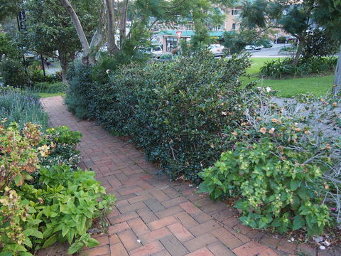 Bellevue Accommodation - Redcliffe Tourism 22