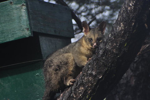 By The Beach B&B Self Contained Apartments - Redcliffe Tourism 20