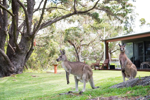 By The Beach B&B Self Contained Apartments - Redcliffe Tourism 17