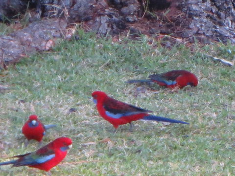 By The Beach B&B Self Contained Apartments - Redcliffe Tourism 22