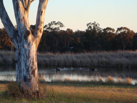 Adina Vineyard - Redcliffe Tourism 10