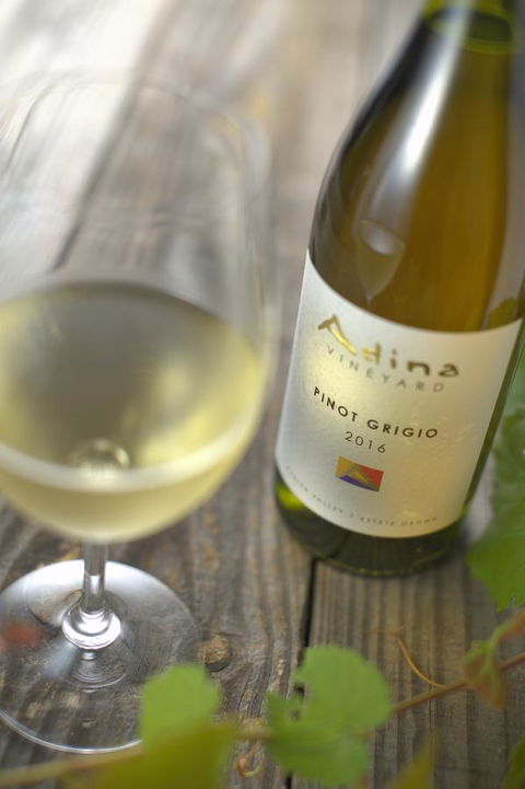 Adina Vineyard - Redcliffe Tourism 7