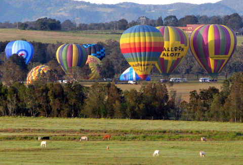 Adina Vineyard - Redcliffe Tourism 9