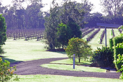 Adina Vineyard - Redcliffe Tourism 14