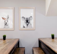 Mad Monkey Backpackers on Broadway - Redcliffe Tourism