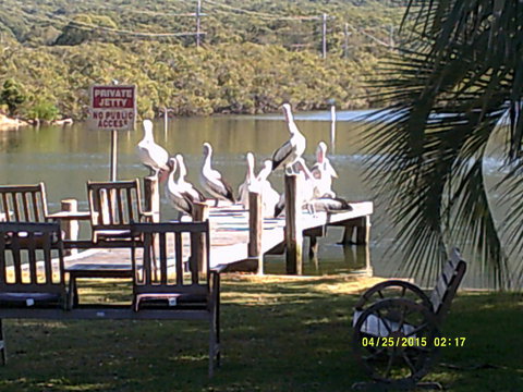 Pelican H2O One & Two Bedroom Apartments - Redcliffe Tourism 9