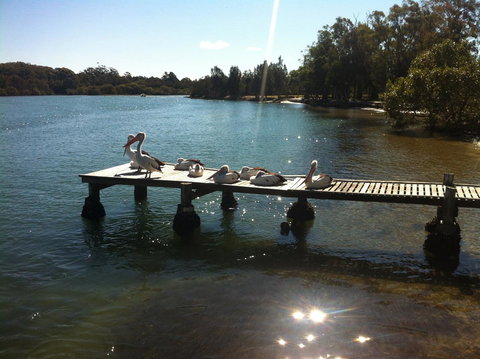 Pelican H2O One & Two Bedroom Apartments - Redcliffe Tourism 5