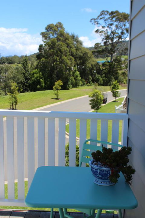 Red Waratah - Redcliffe Tourism 1