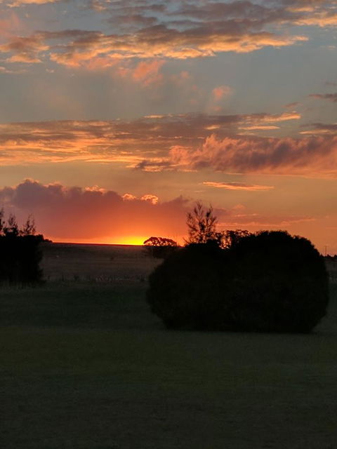 Madigan Wine Country Cottages - Redcliffe Tourism 13
