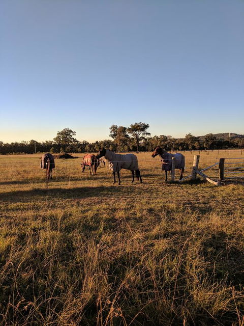 Madigan Wine Country Cottages - Redcliffe Tourism 8