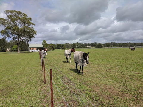 Madigan Wine Country Cottages - Redcliffe Tourism 9