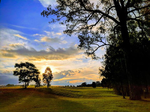 Madigan Wine Country Cottages - Redcliffe Tourism 11