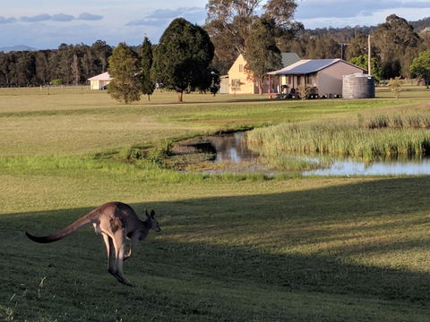 Madigan Wine Country Cottages - Redcliffe Tourism 6