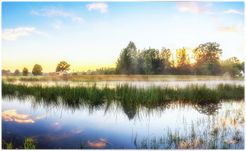 Madigan Wine Country Cottages - Redcliffe Tourism 19