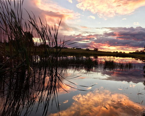 Madigan Wine Country Cottages - Redcliffe Tourism 16