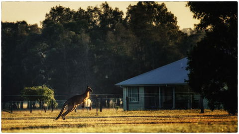 Madigan Wine Country Cottages - Redcliffe Tourism 5