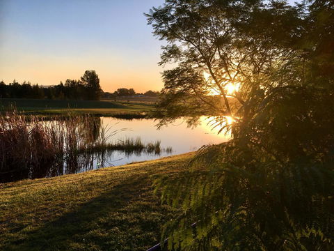 Madigan Wine Country Cottages - Redcliffe Tourism 17