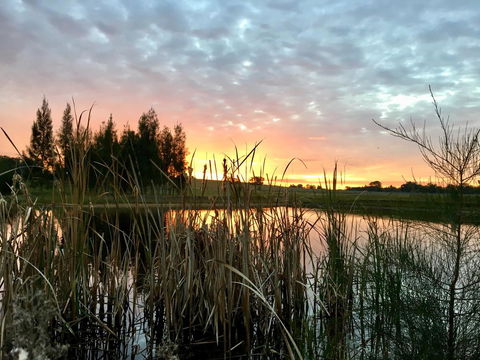 Madigan Wine Country Cottages - Redcliffe Tourism 14