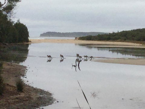 Rocketz At Berrara Beach - Redcliffe Tourism 3