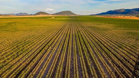 The Old Saddlery - Redcliffe Tourism 14