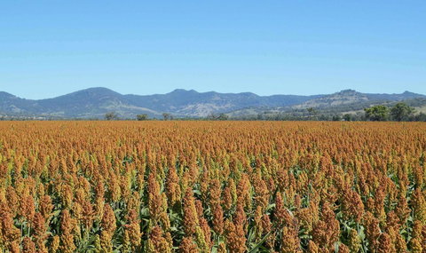 The Old Saddlery - Redcliffe Tourism 16