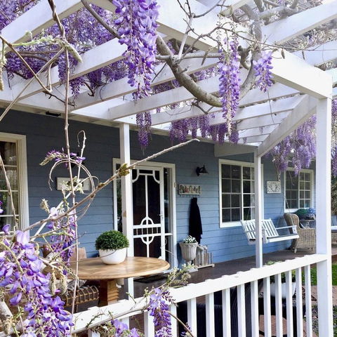 Bowral Escape - Redcliffe Tourism 1