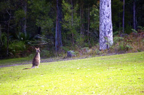 Jackson Ranch By Bannisters - Redcliffe Tourism 31