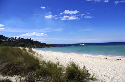 Jackson Ranch By Bannisters - Redcliffe Tourism 32